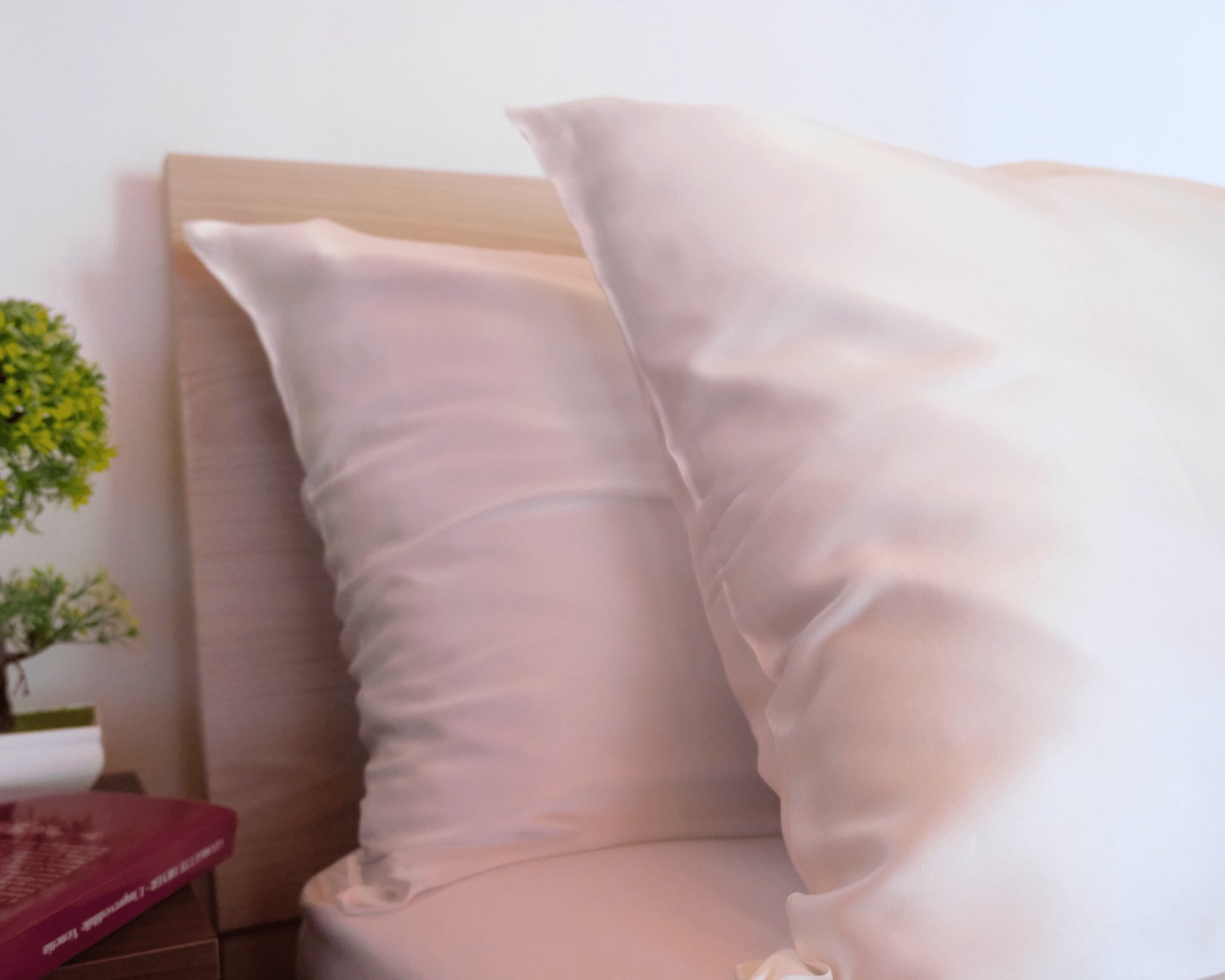 Dreamzie Federe Cuscini 30x50 (Set di 2) - Beige - per i Cuscini 30 x 50 cm  - 100% Jersey di Cotone - Federa da Cuscino - Copri Cuscino per Letto -  Fodera Protezione per Cuscino : : Casa e cucina